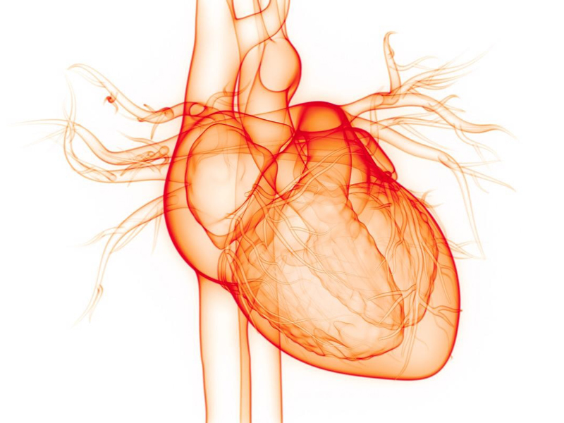 Fibrillazione atriale
